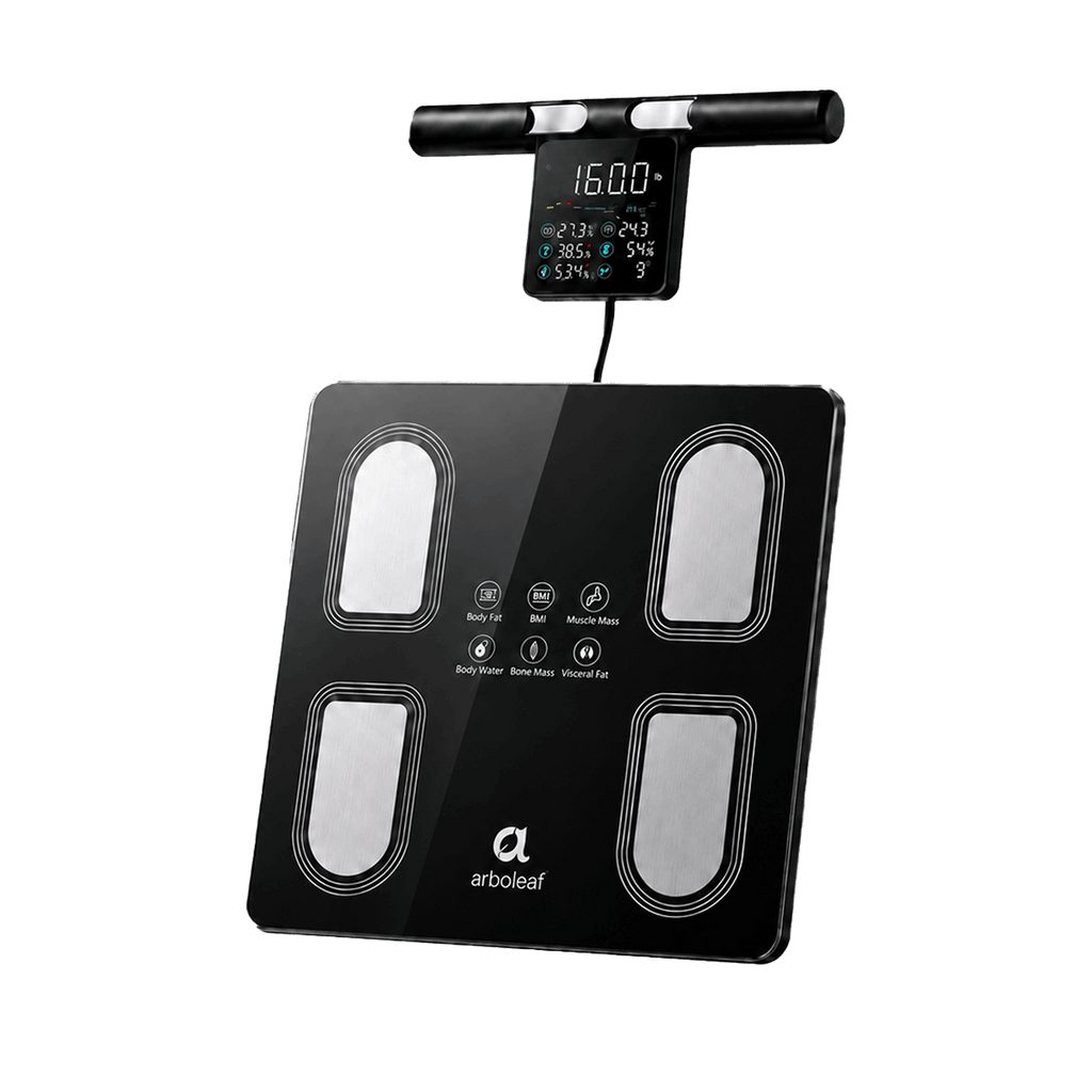 Segmental Smart Scale CS10P