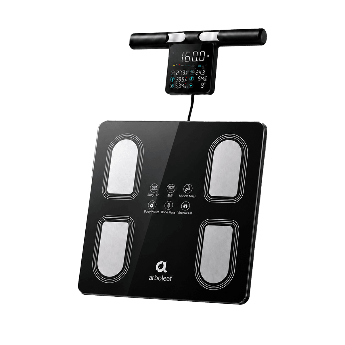 Segmental Smart Scale CS10P