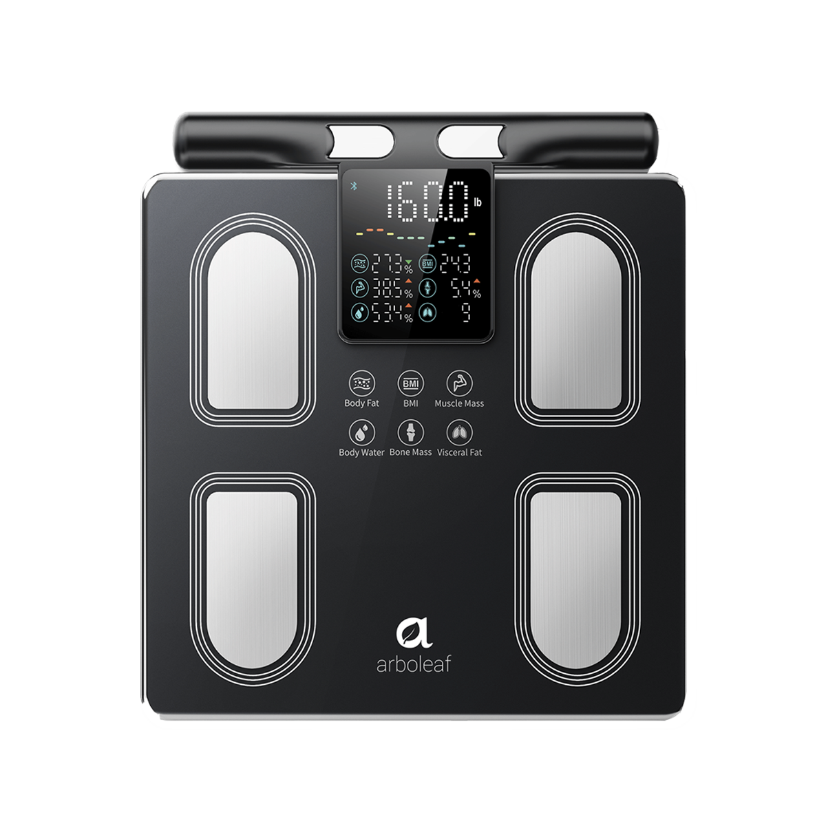 Segmental Smart Scale CS10P